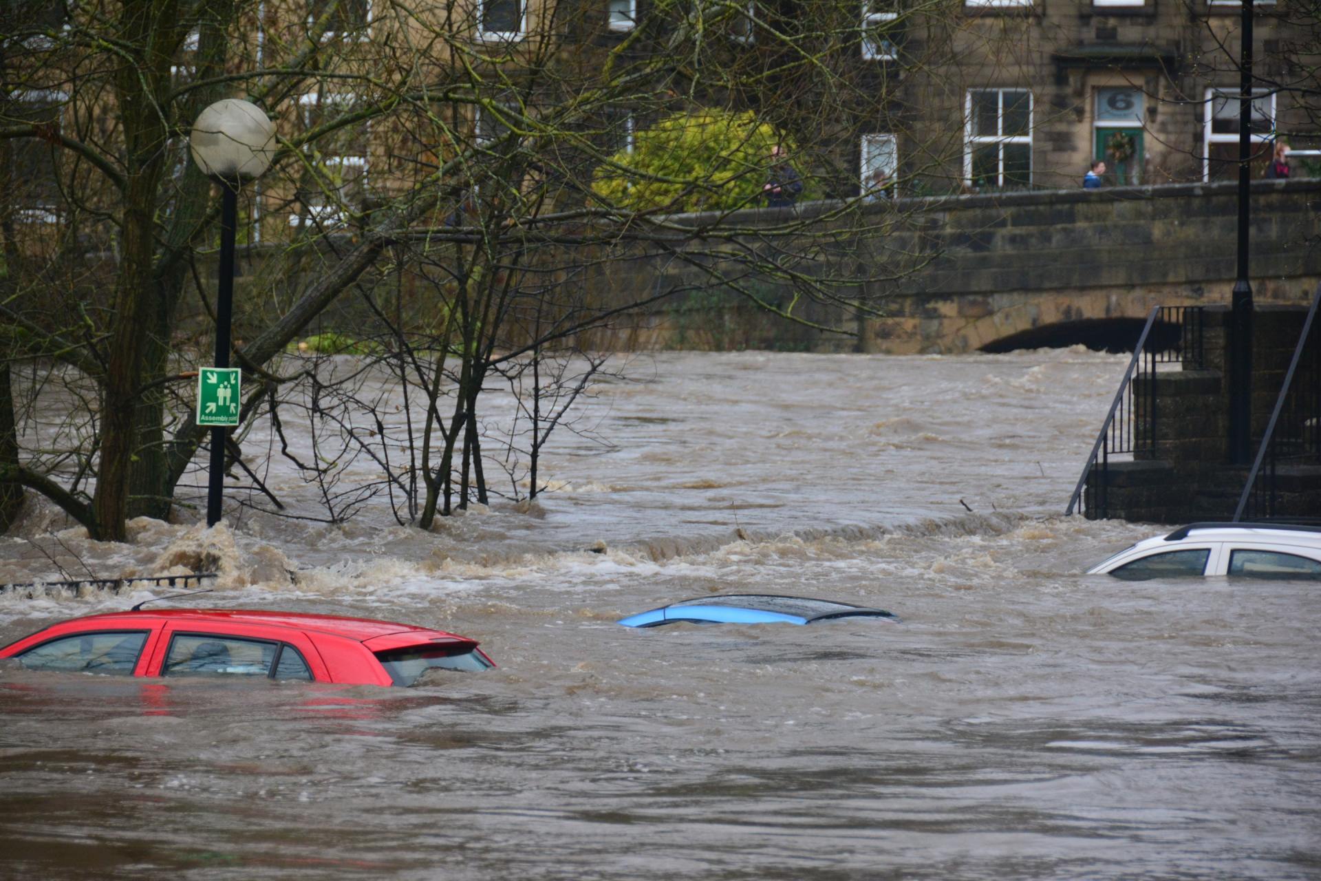 cars surrounded in flood